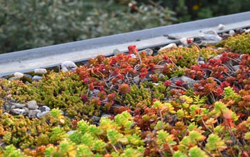 the cost of Hargrave green roof installation