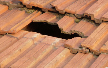 roof repair Hargrave