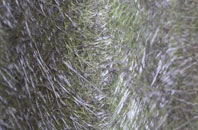 Hargrave fibreglass roof work